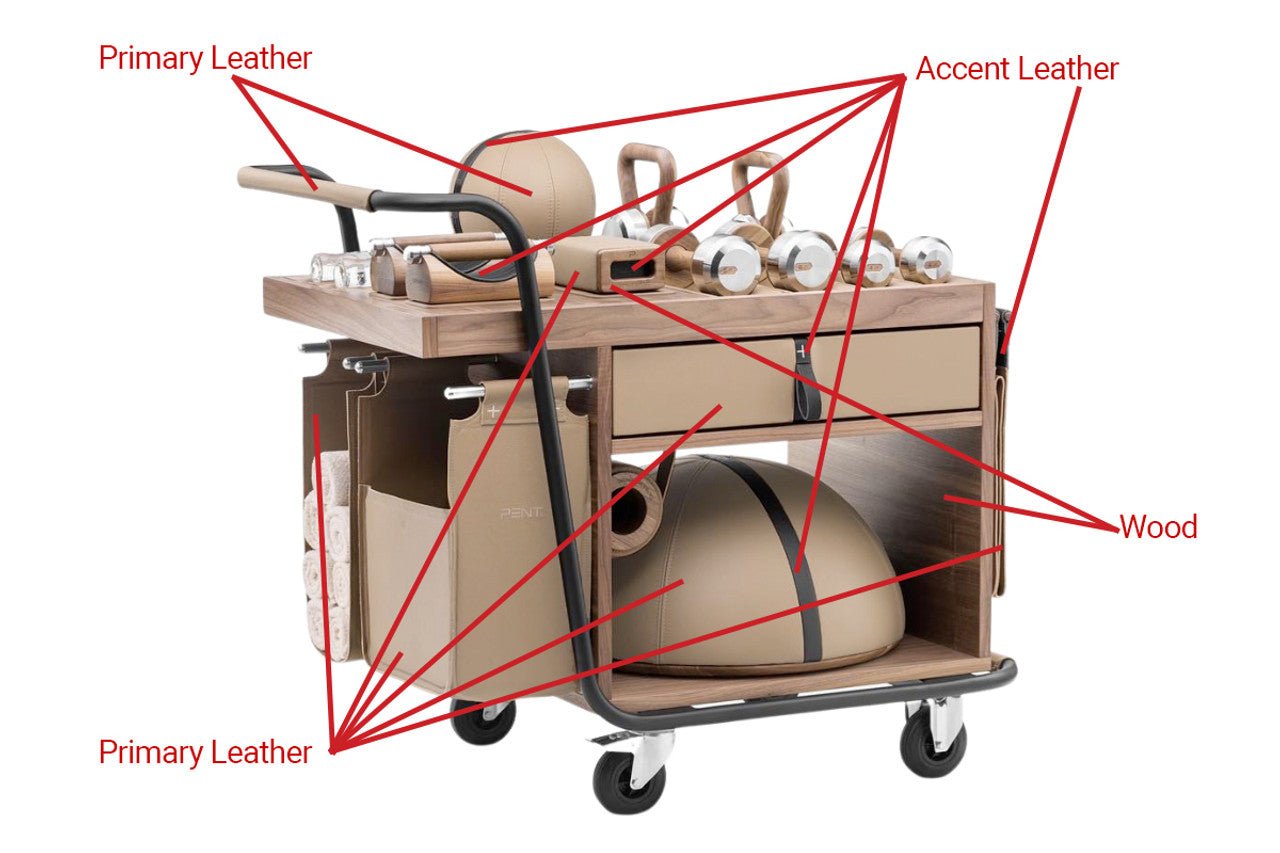 SOPHIA Fitness Cart - Elite Vitality